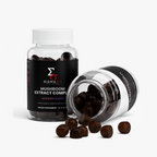 Mushroom Extract Complex
