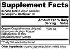 Chaga Mushroom