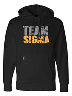 SIGma FIT Standard Pump Cover Team Sigma Gold Grey front