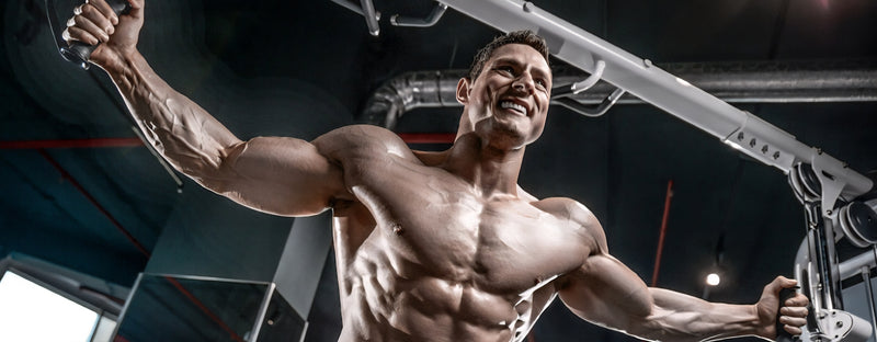 12-Week Muscle Builder