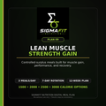 SigmaFit Lean Muscle and Strength Gain Plan