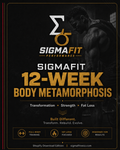 SigmaFit Body Metamorphosis digital program cover